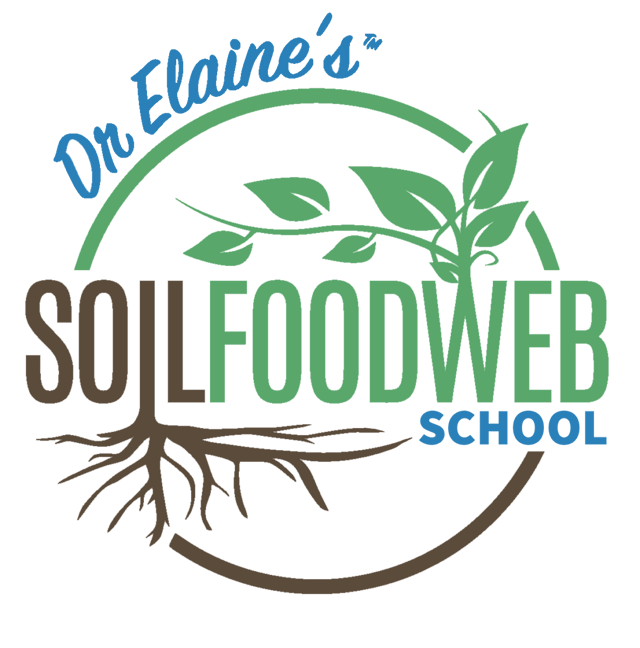 Soil Food Web School